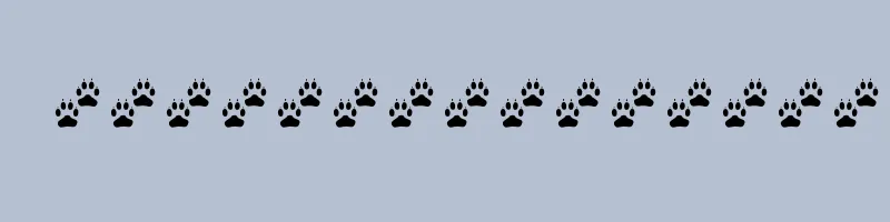 font preview of TRACKS